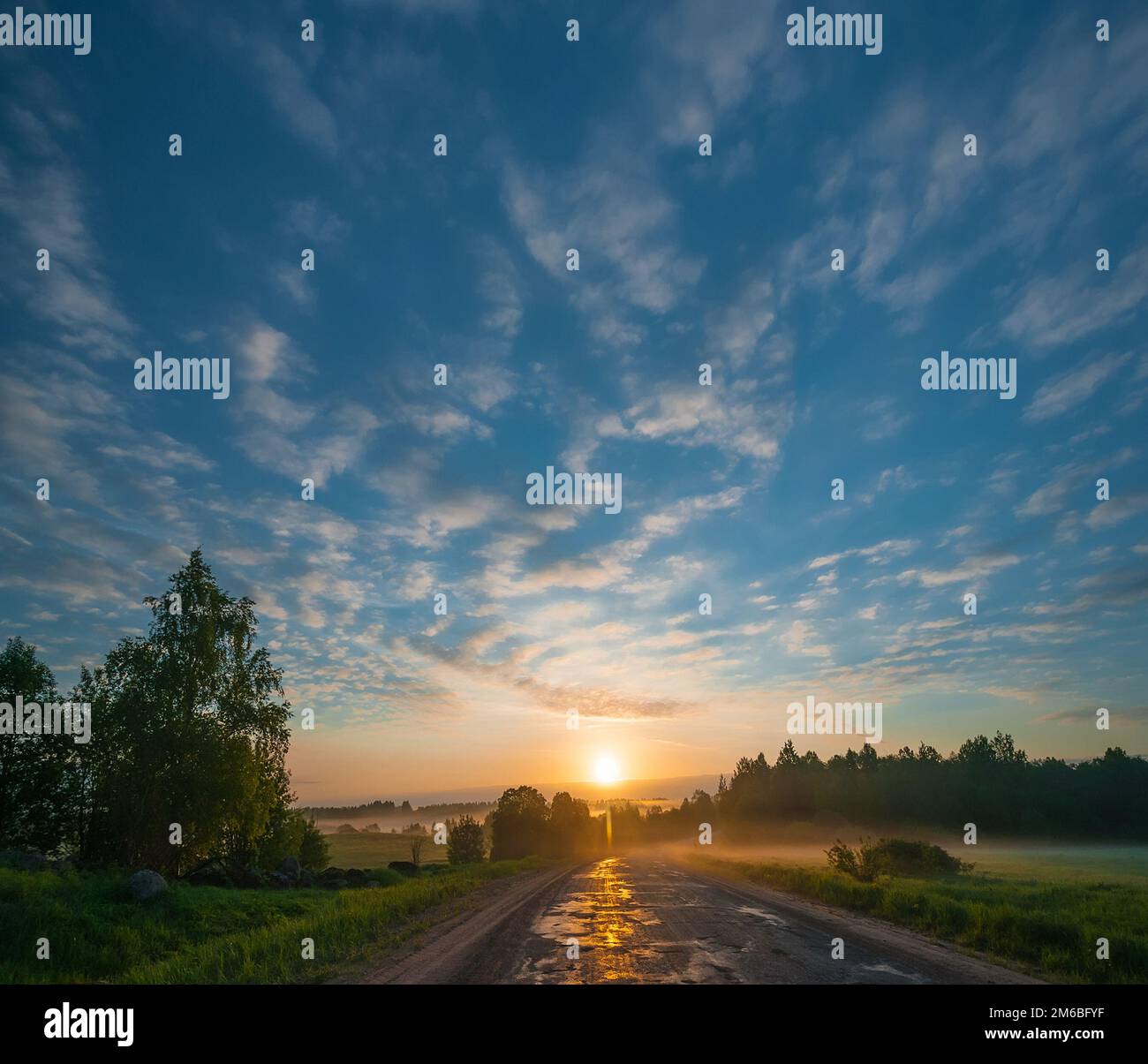 Morning landscape with country road passing through field and pastures at sunrise. Pskov region, Russia. Stock Photo