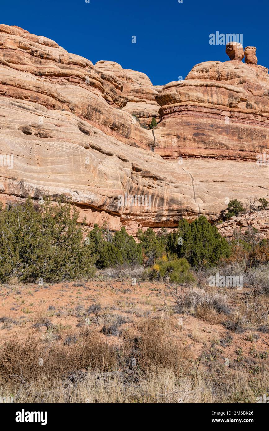 Backpacking in Grand Gulch and viewing Anasazi dwellings and rock art