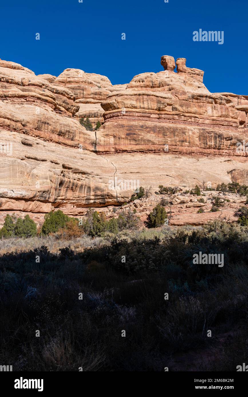 Backpacking In Grand Gulch And Viewing Anasazi Dwellings And Rock Art