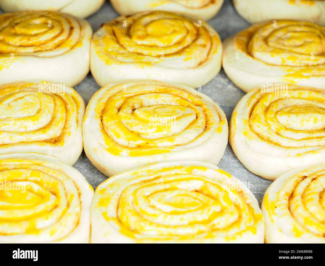 Closeup of raw cinnamon buns after proofing with egg yolk, on baking paper Stock Photo