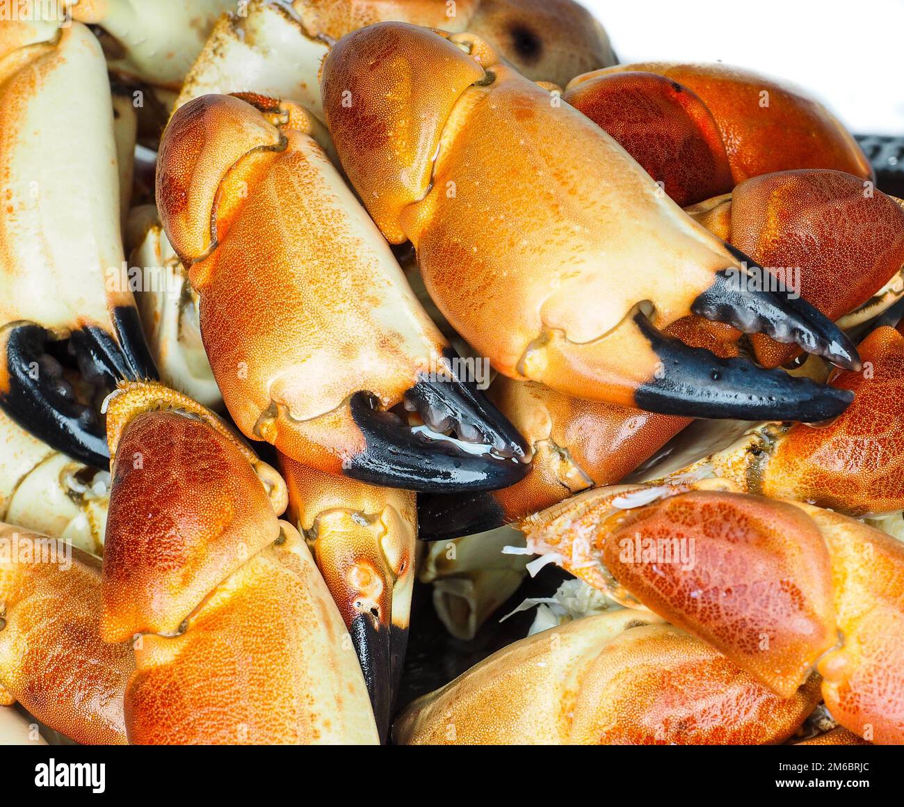 Pile of orange boiled crab claws Stock Photo Alamy