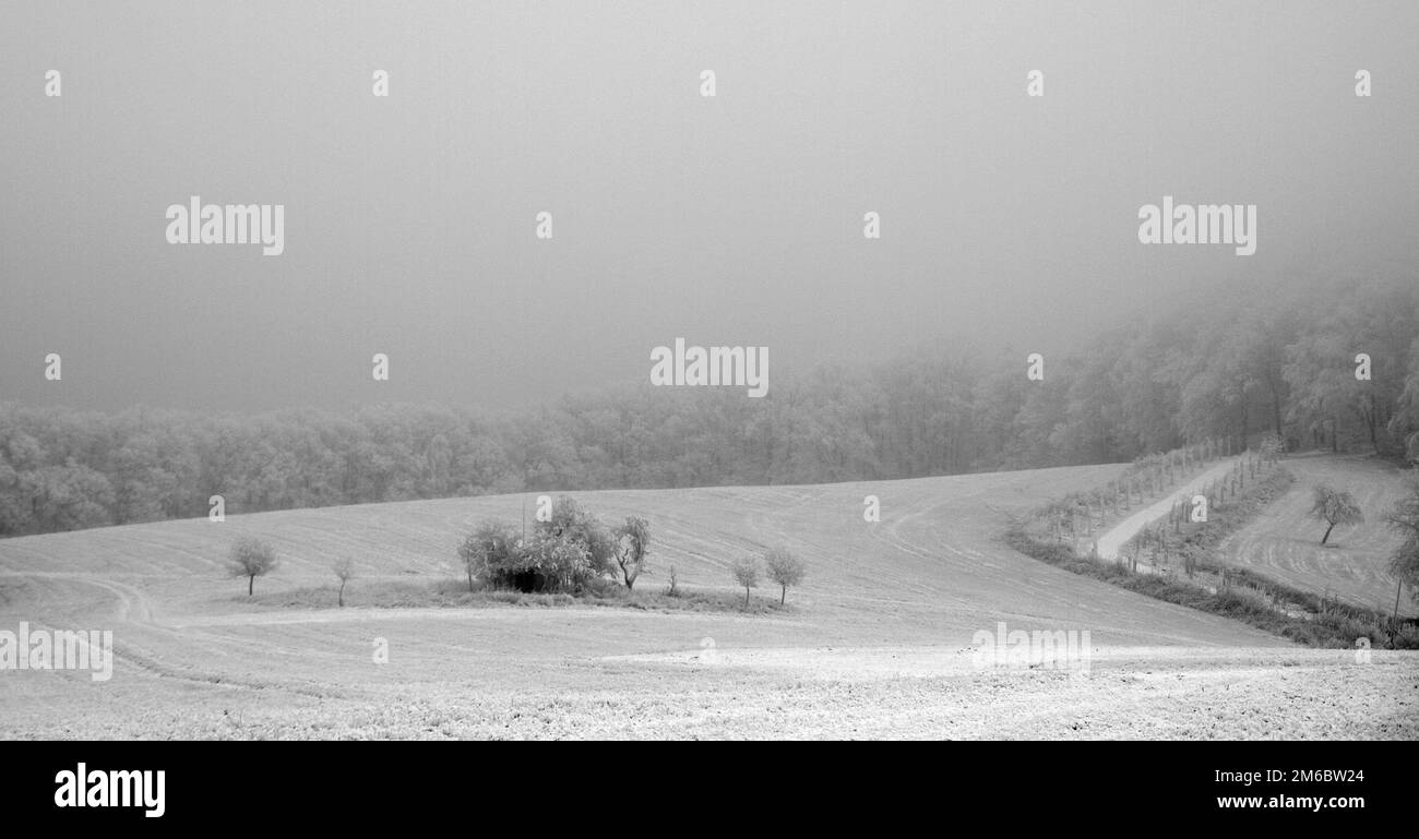 Winter landscape Stock Photo