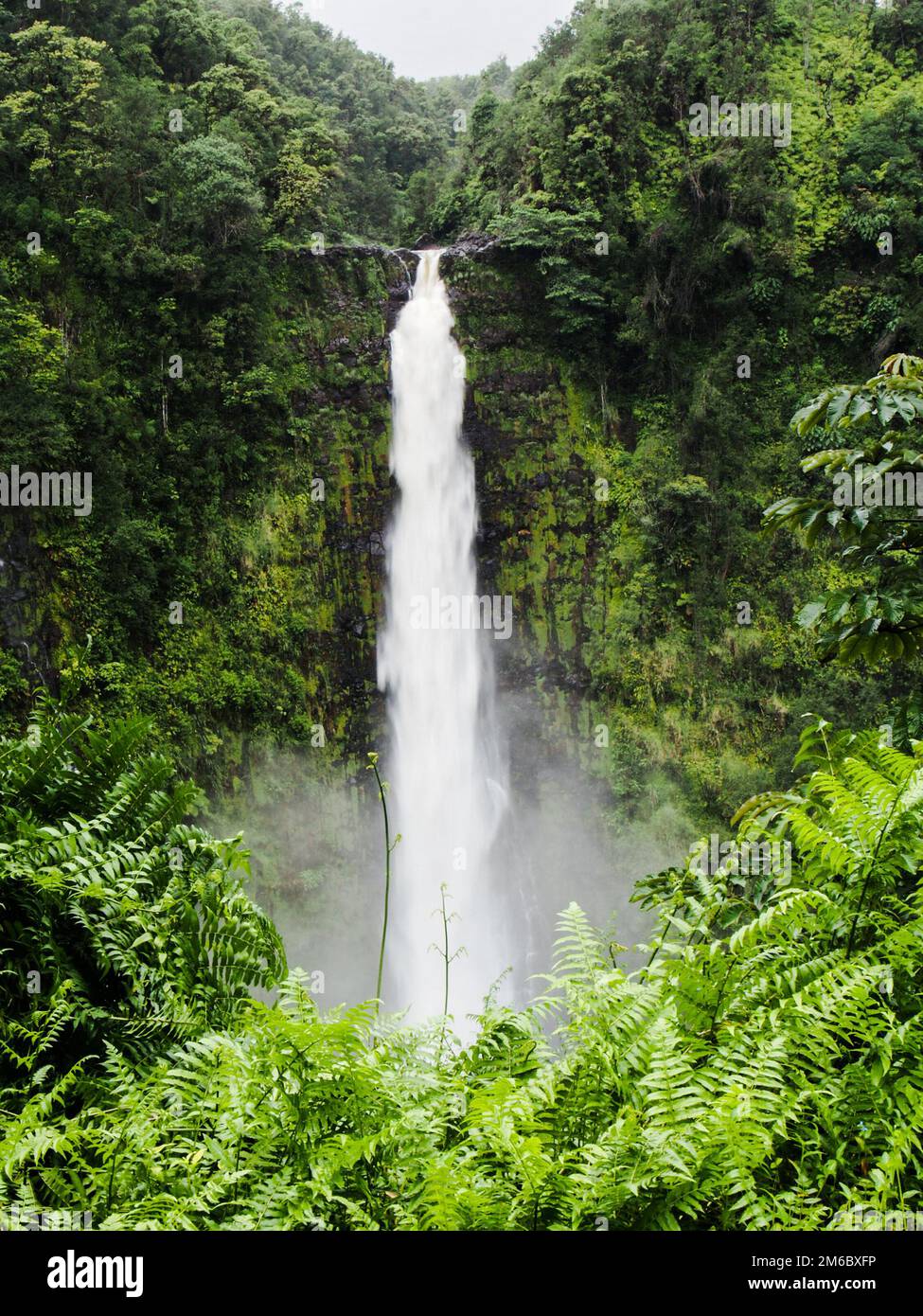 Akaka Falls in Hawaii Stock Photo