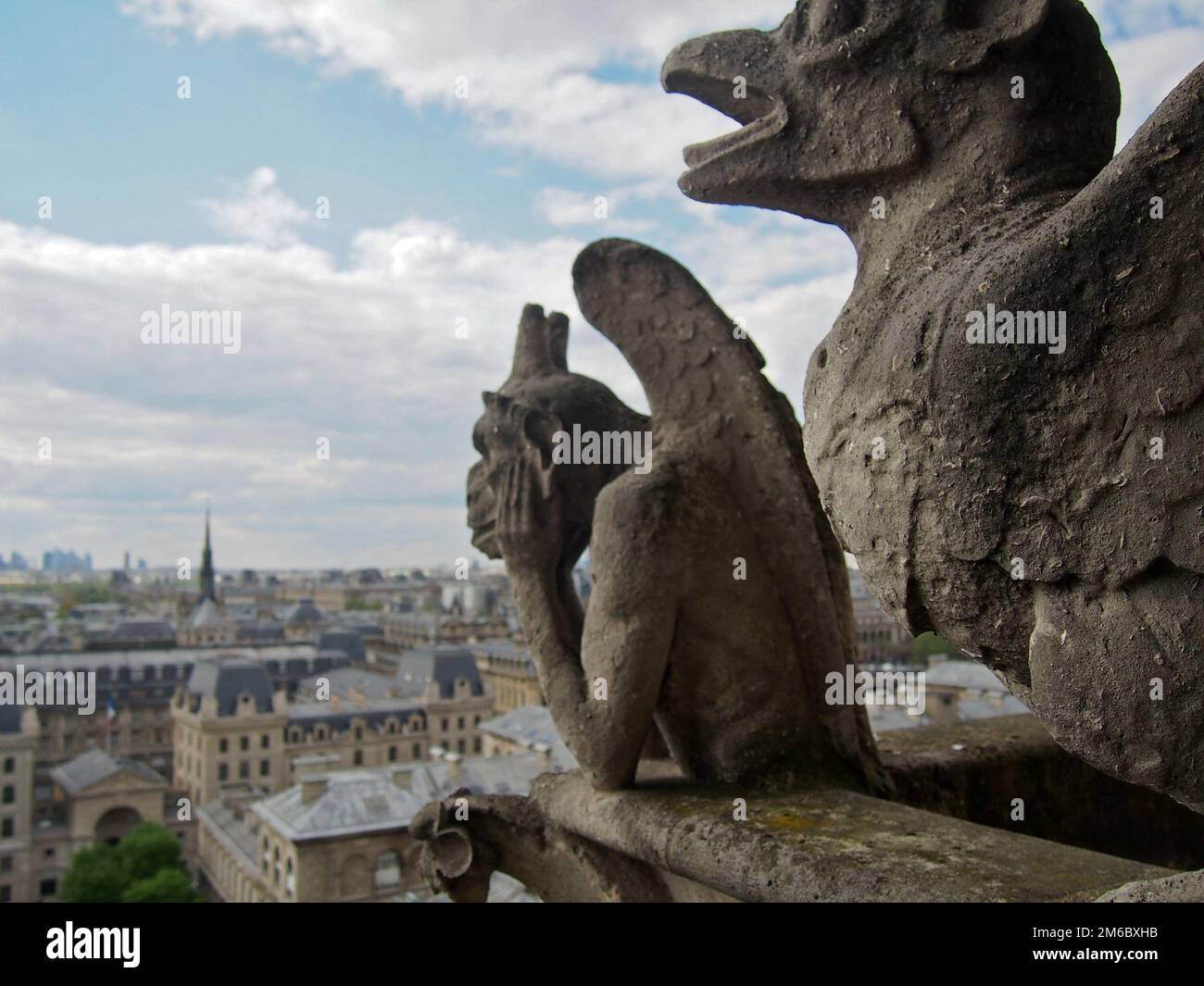 Gargoyles of Notre Dame Overlooking City of Paris Stock Photo Alamy
