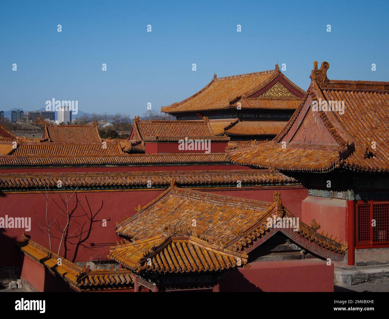 Orange Tiled Rooftops of the Forbidden Palace in Downtown Beijing China ...