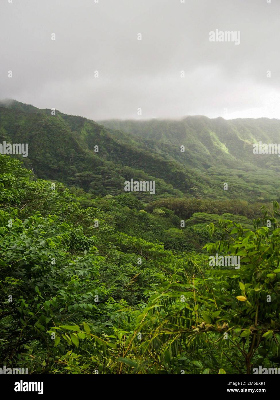 Lush Green Manoa Valley on Oahu in Hawaii Stock Photo