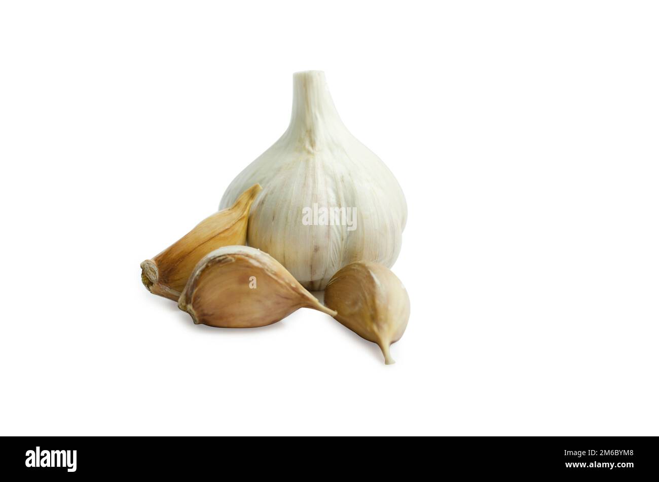 Garlic bulb and single cloves isolated on white Background Stock Photo ...