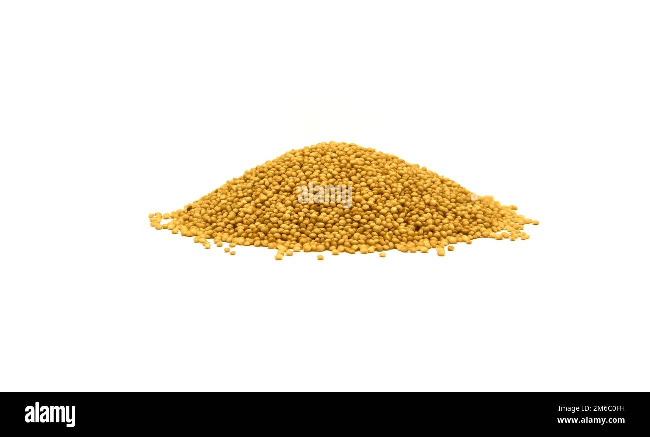 Amaranth Cut Out Stock Images & Pictures Alamy