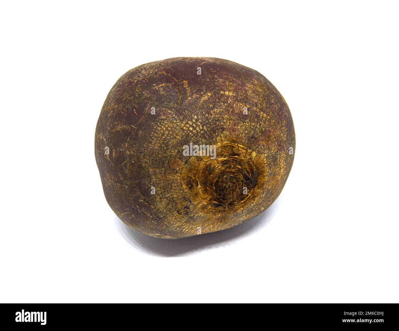 Beets Ed Ed Beet isolated on a white background Stock Photo - Alamy