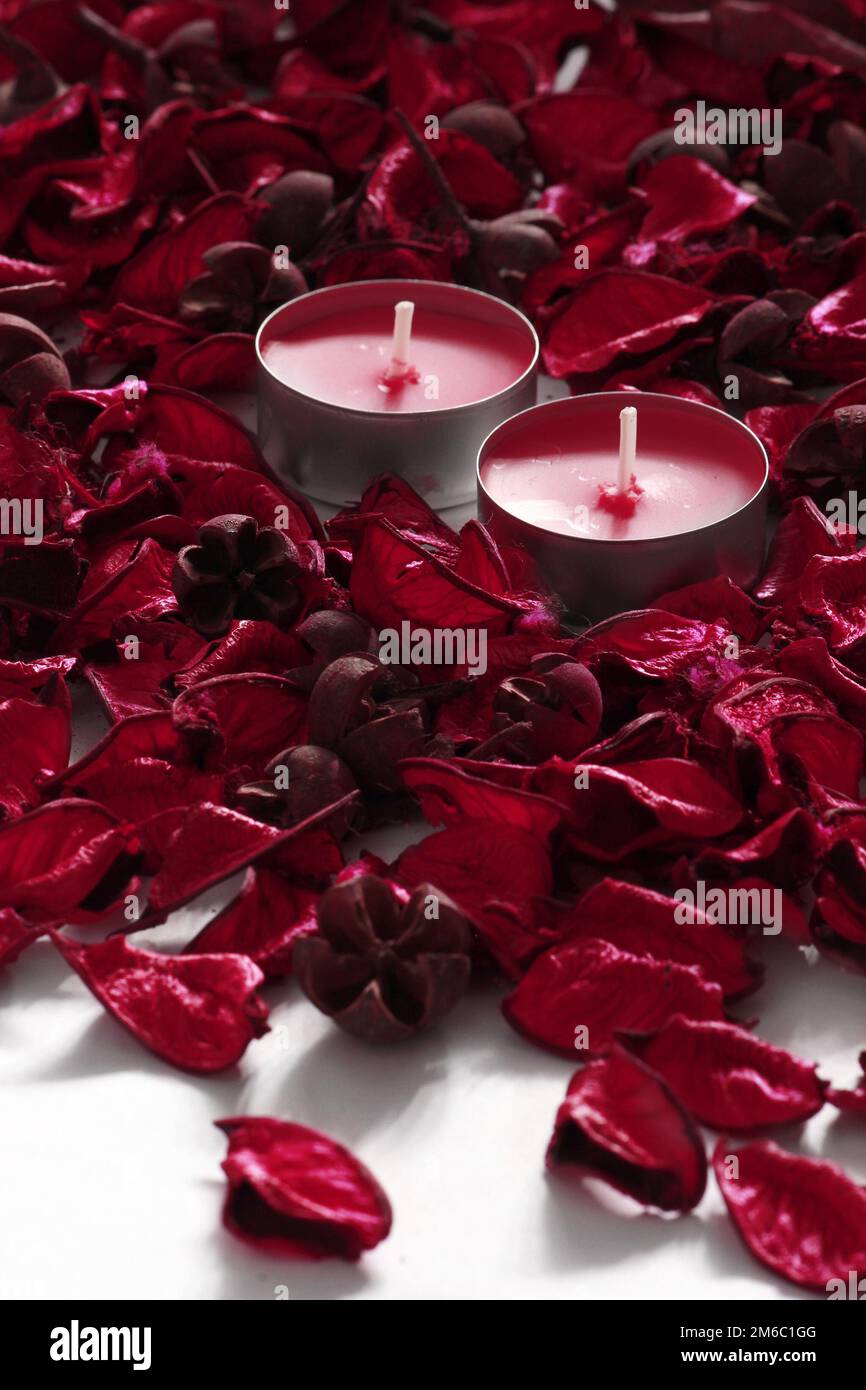 Red rose petals and candles on a white background Stock Photo Alamy