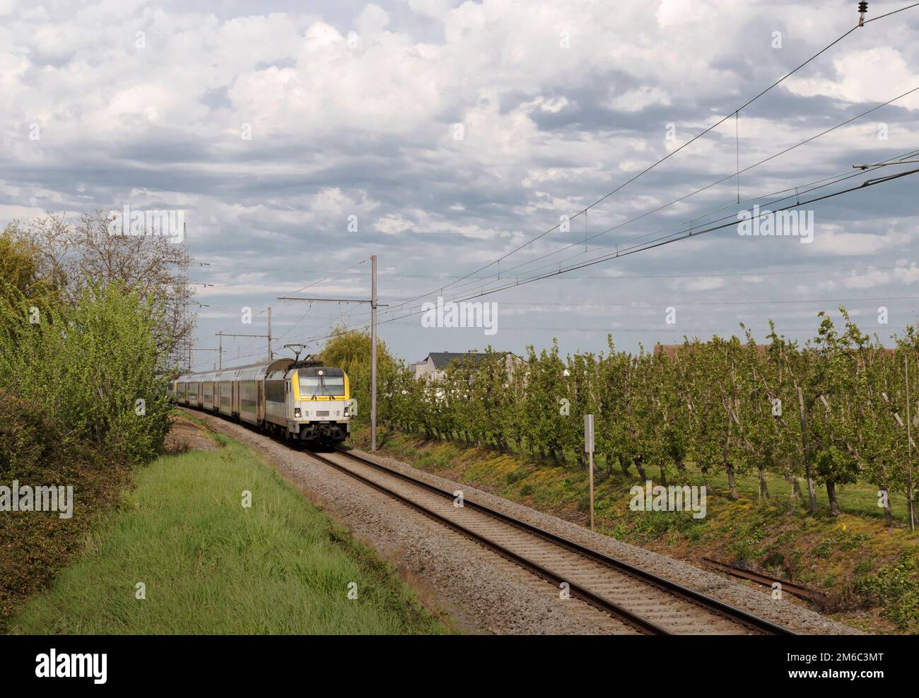 train in the countryside in the summer Stock Photo