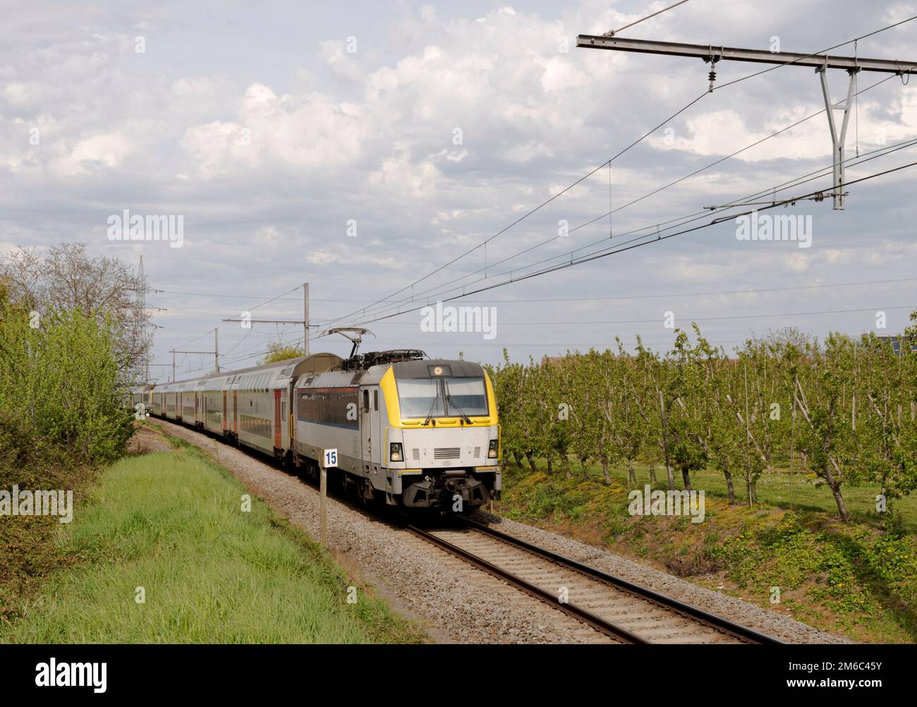 Train in the countryside. Walking towards. Front side. Train in Belgium Stock Photo