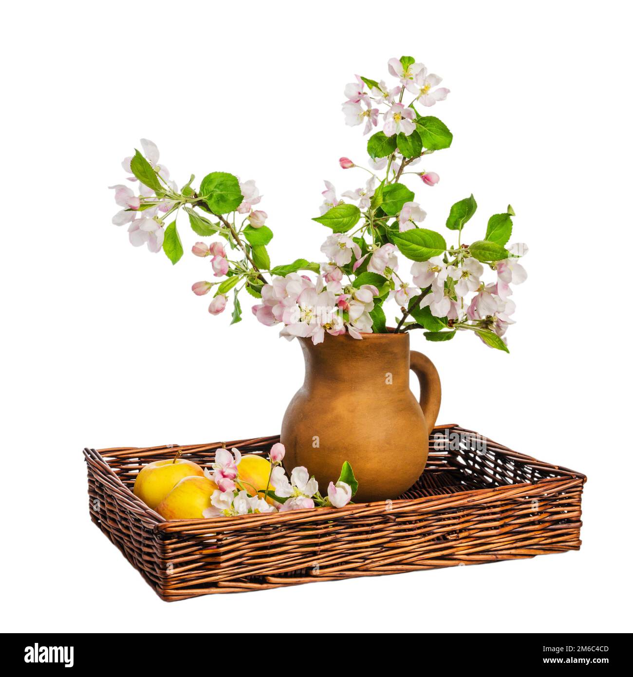 Branch of blossoming apple-tree in clay pitcher on white background, close-up Stock Photo