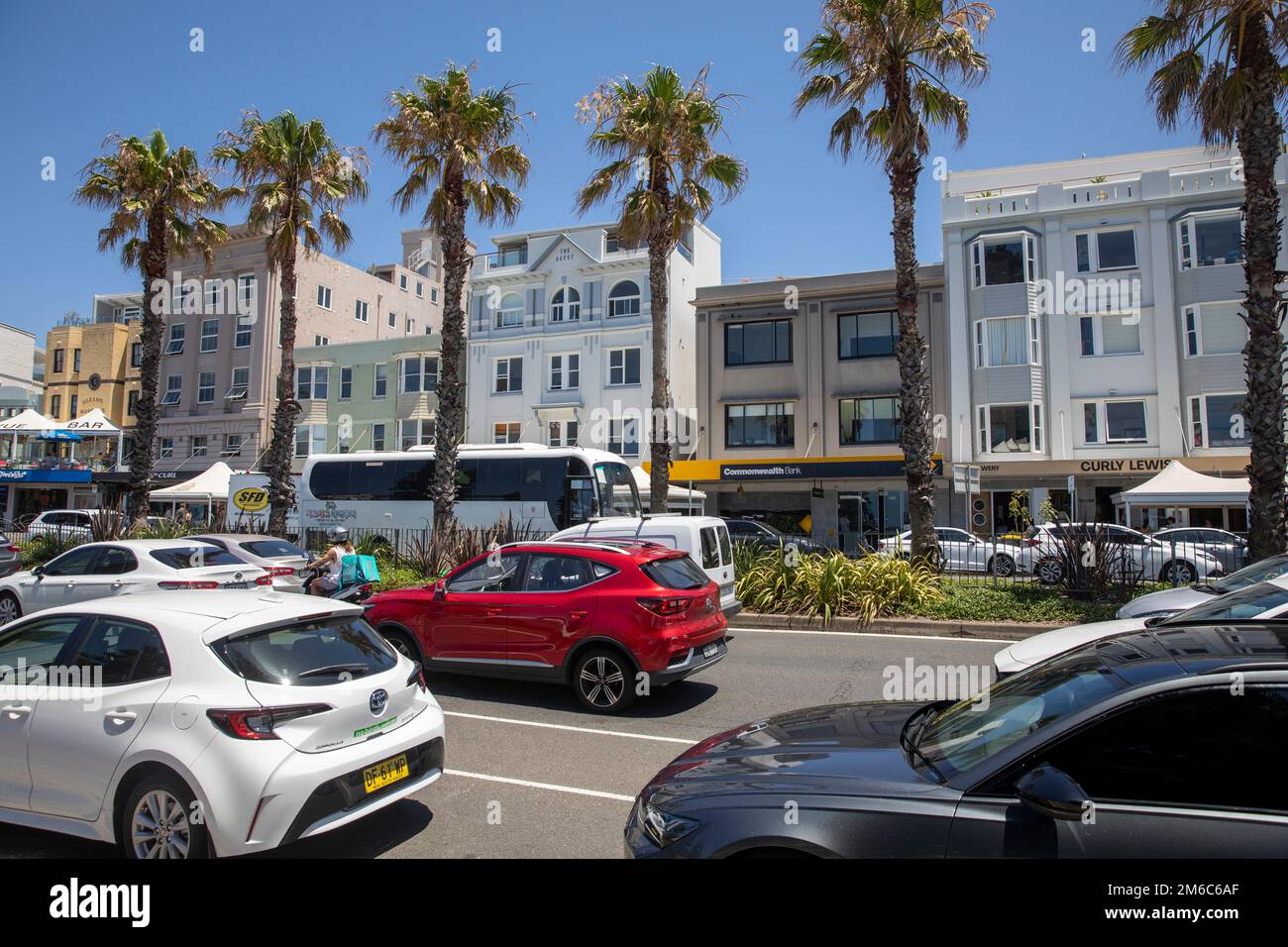 Bondi Beach suburb, cars and vehicles on campbell parade Bondi with towering palm trees,Sydney,NSW,Australia Stock Photo
