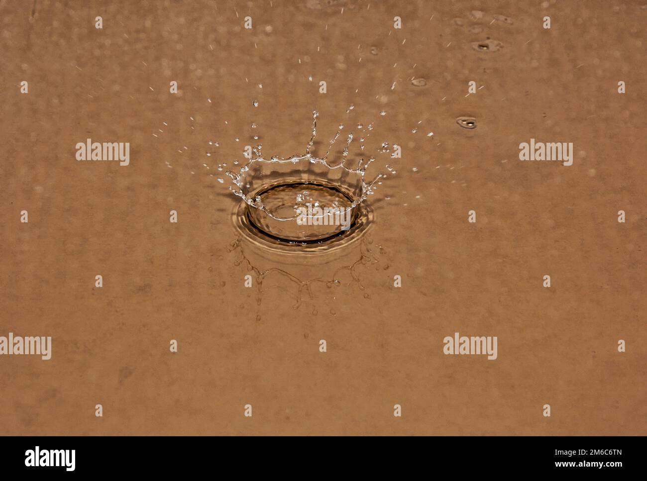 The crown formed by the impact of a drop on the surface of the water ...