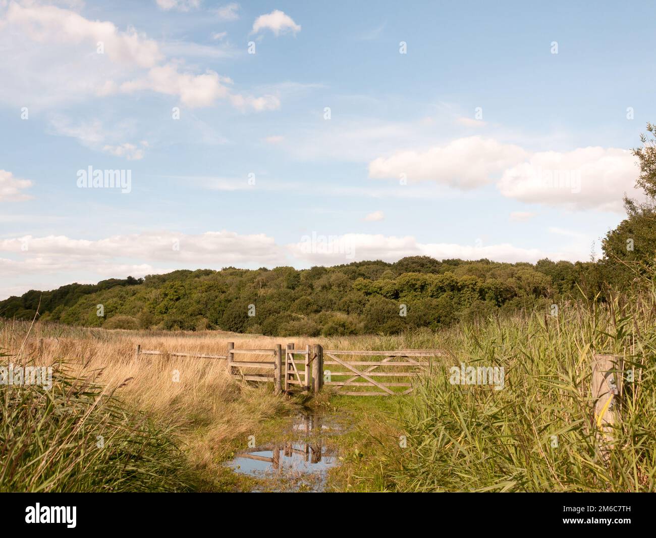 A water logged country walk meadow scene with wooden fence and gate blocked Stock Photo