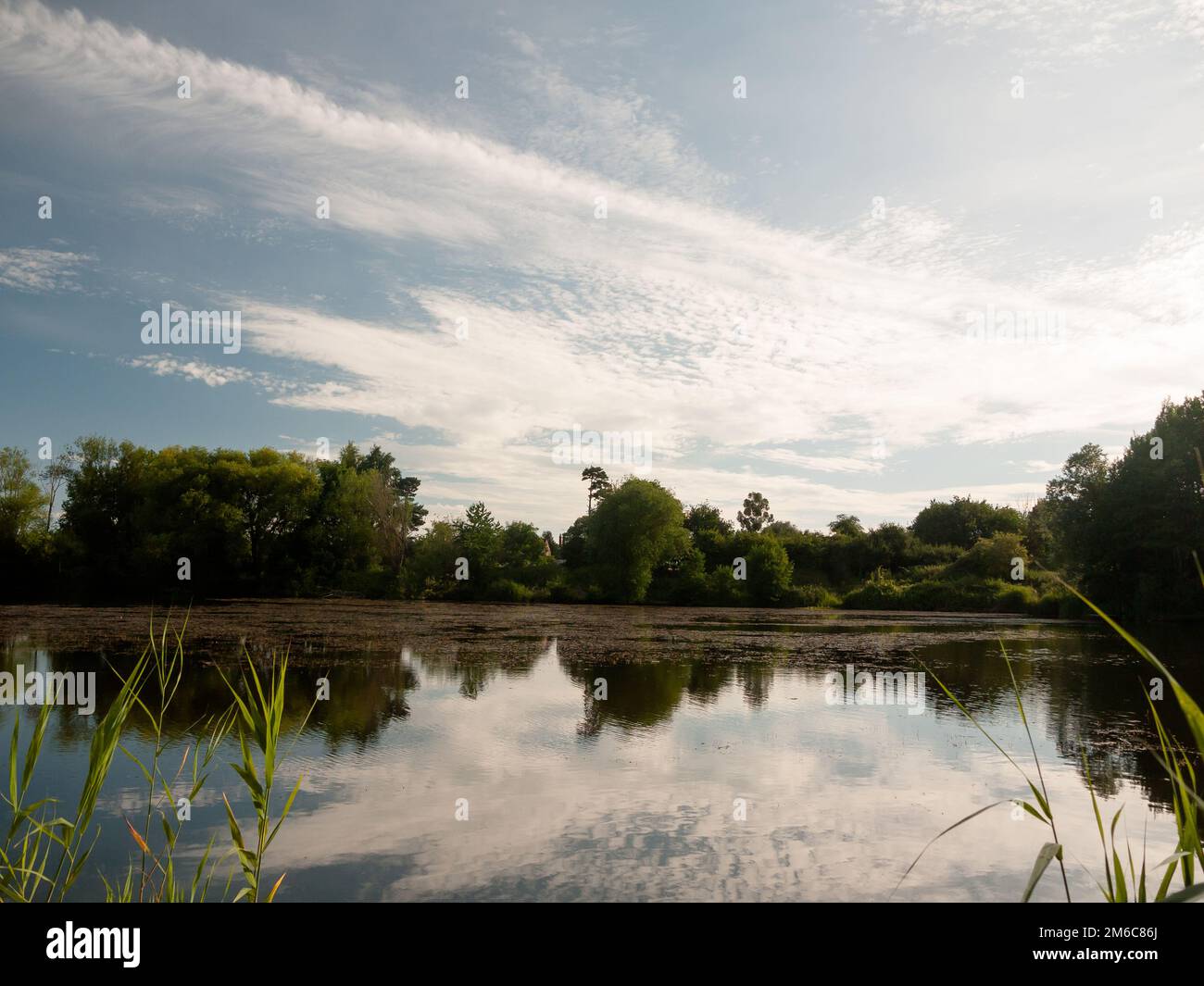 Water and trees with beautiful sky hi-res stock photography and images ...