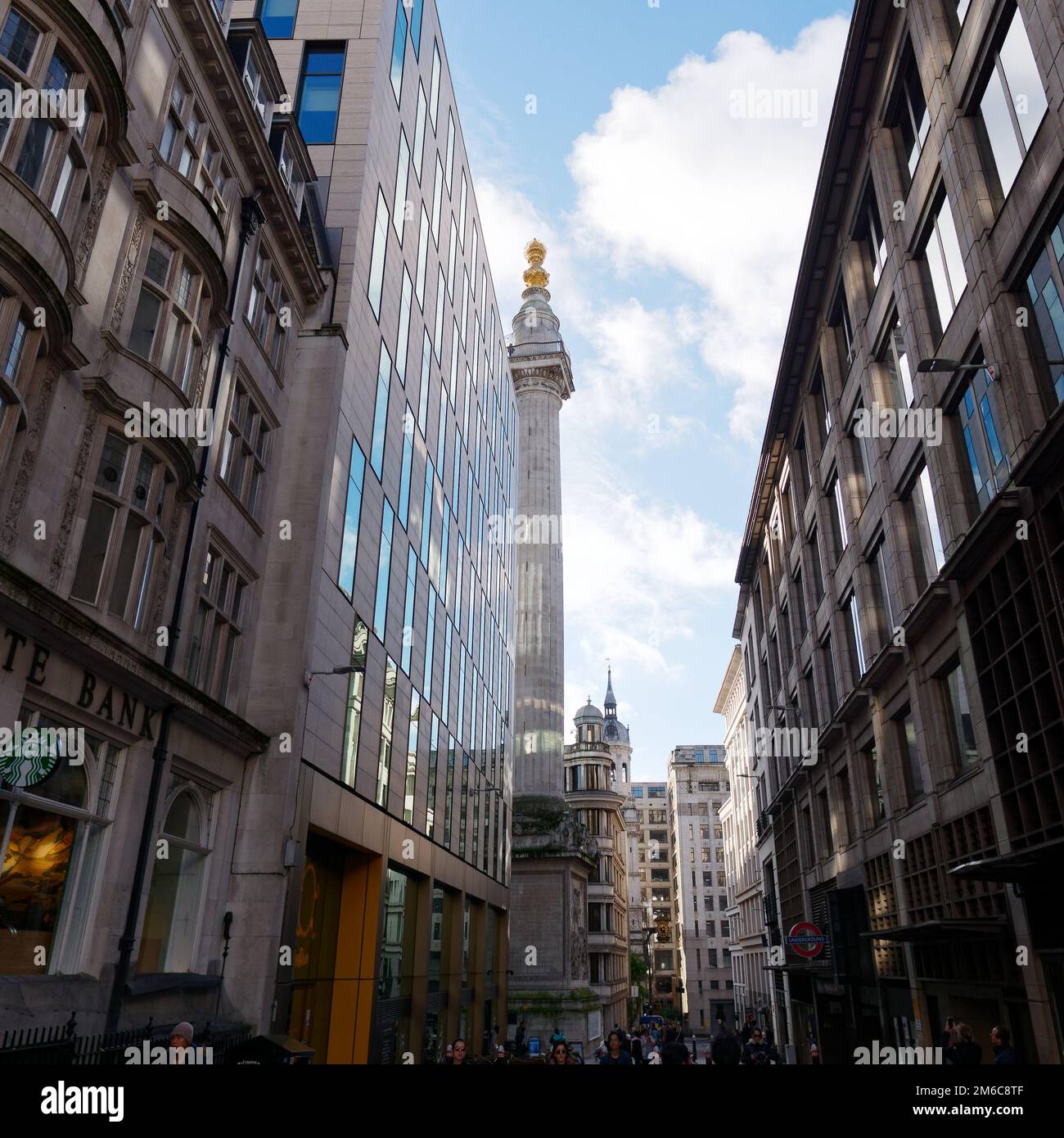 The Monument (To the Great Fire of London) in the City of London with surrounding architecture. Stock Photo