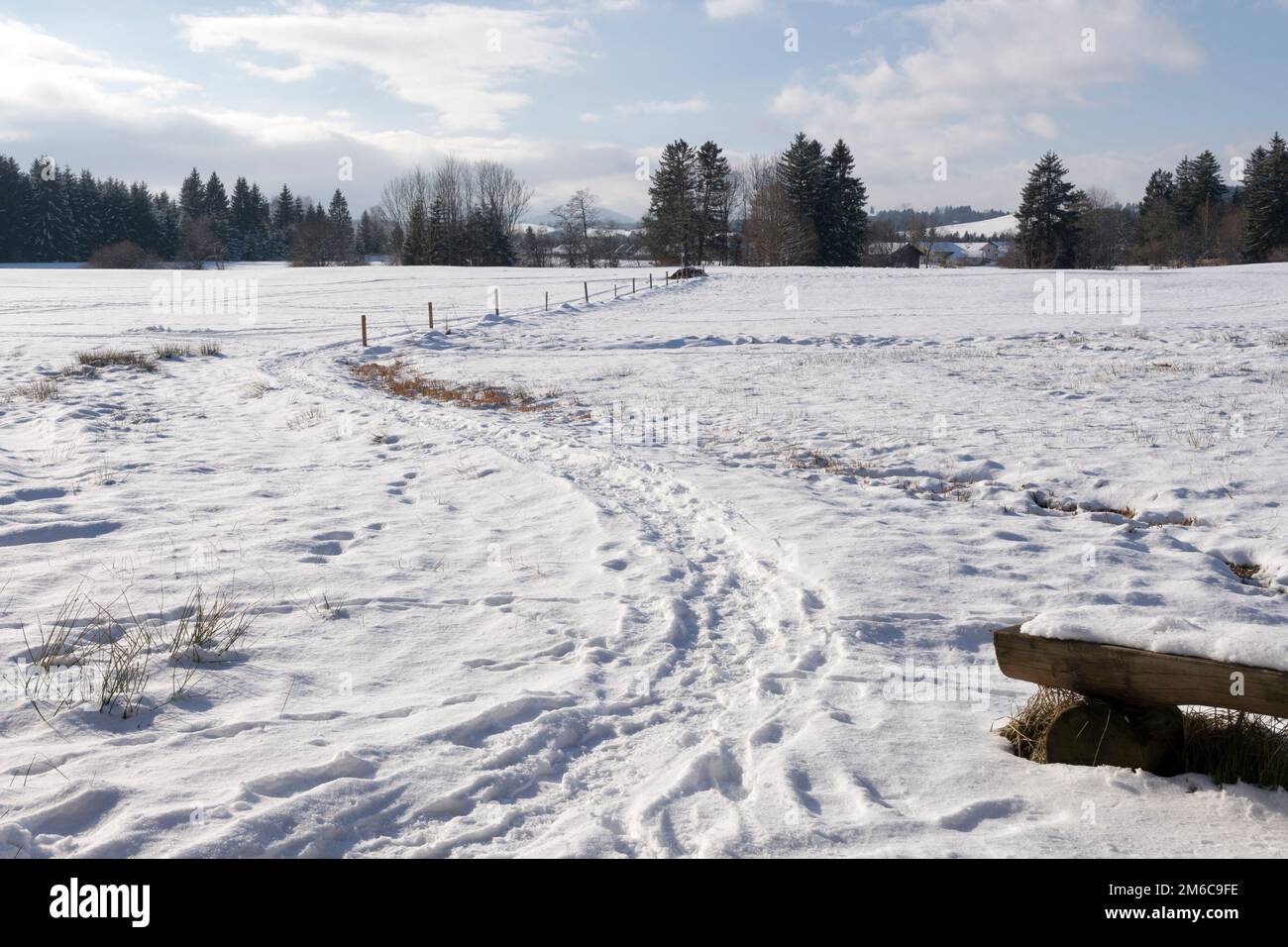 At the entrance to the Premer nature trail, footprints across a snowy field. Prem, Weilheim-Schongau, Upper Bavaria, Bavaria, Germany Stock Photo