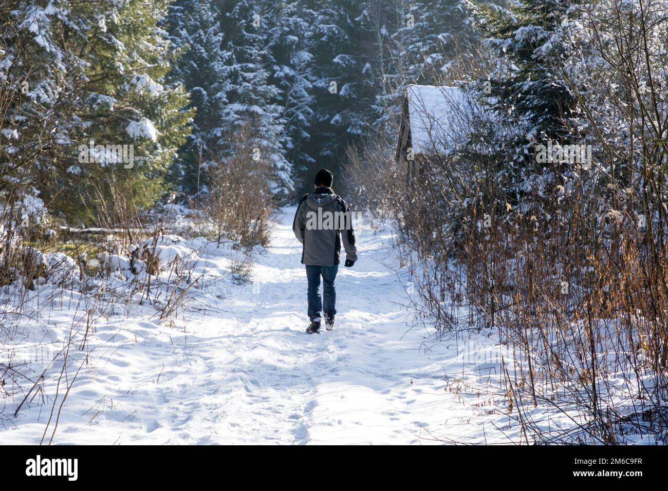 A man is walking on a snowy nature trail through the Premer Moor. Prem, Weilheim-Schongau, Upper Bavaria, Bavaria, Germany Stock Photo