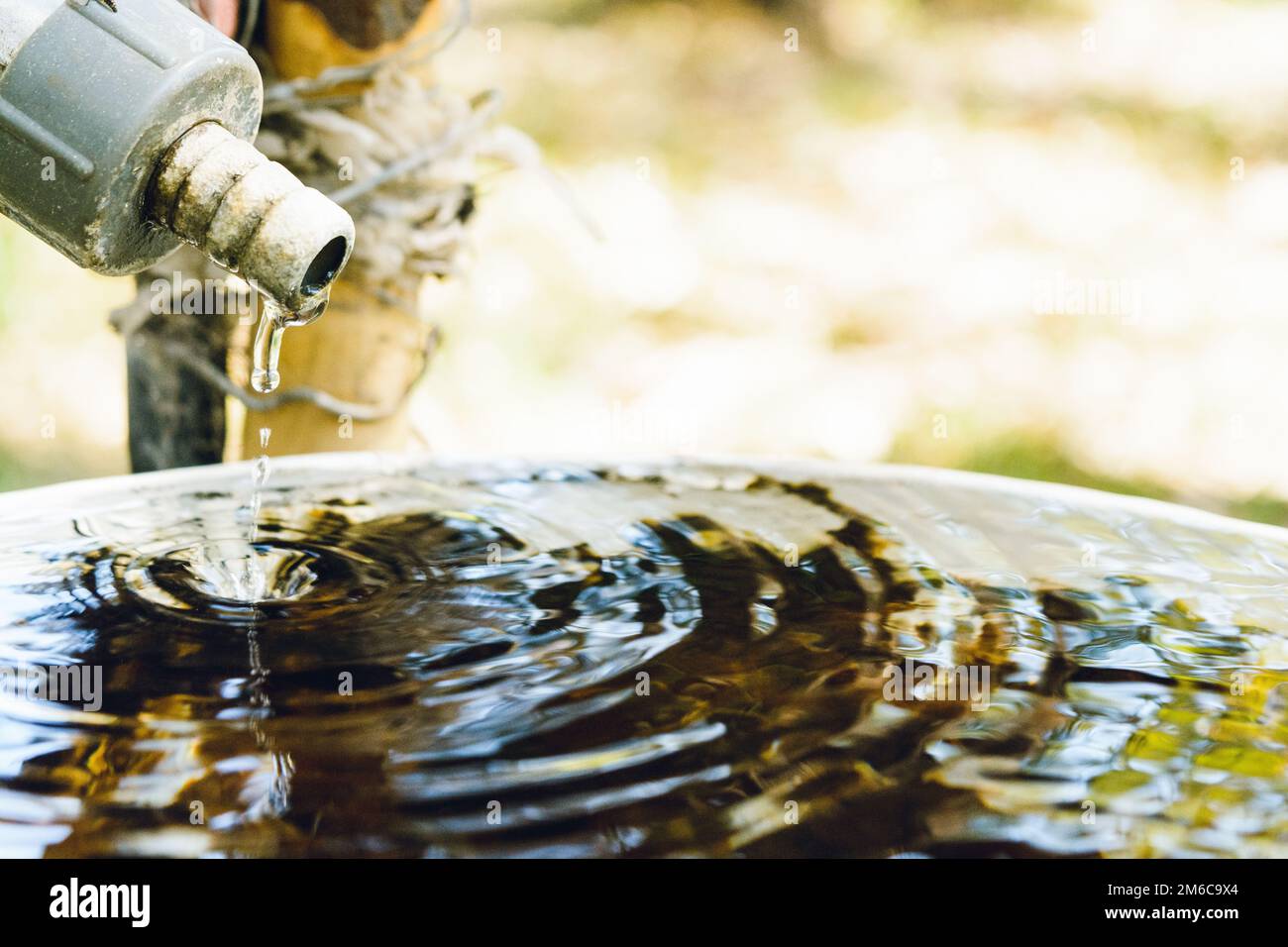 background of hose spout filling a bucket to the top with water, outdoors with copy space Stock