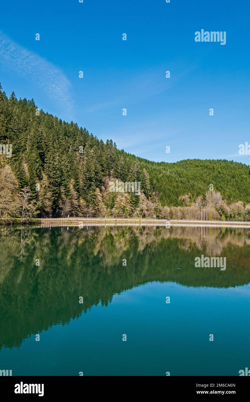 Reservoir created by the Leaburg Dam and fish hatchery in Vida near