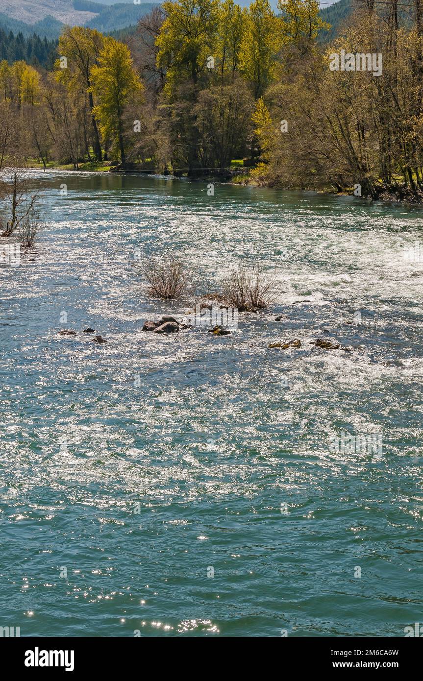 Rapids at Coast Fork Willamette River near Mt Pisgah Arboretum, at park near Springfield, Oregon. Stock Photo