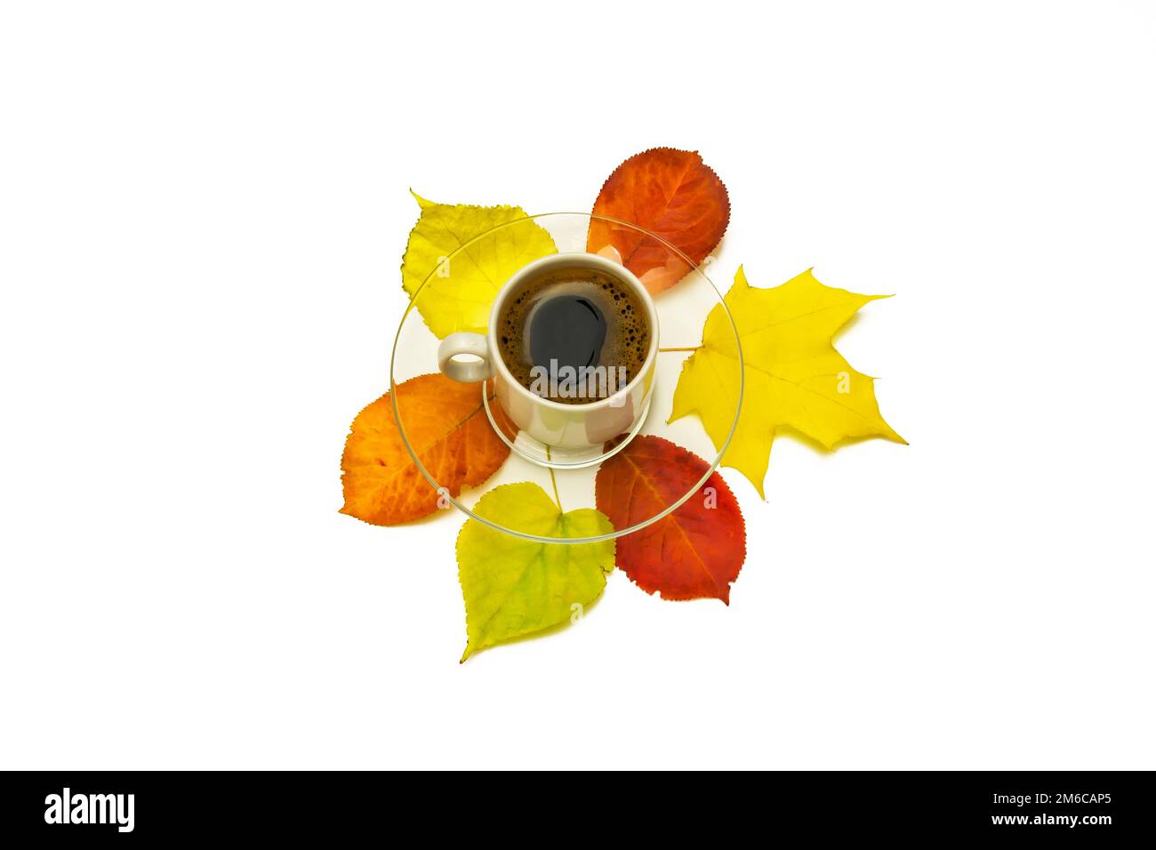 On a white background, autumn leaves and a cup of coffee with a saucer ...