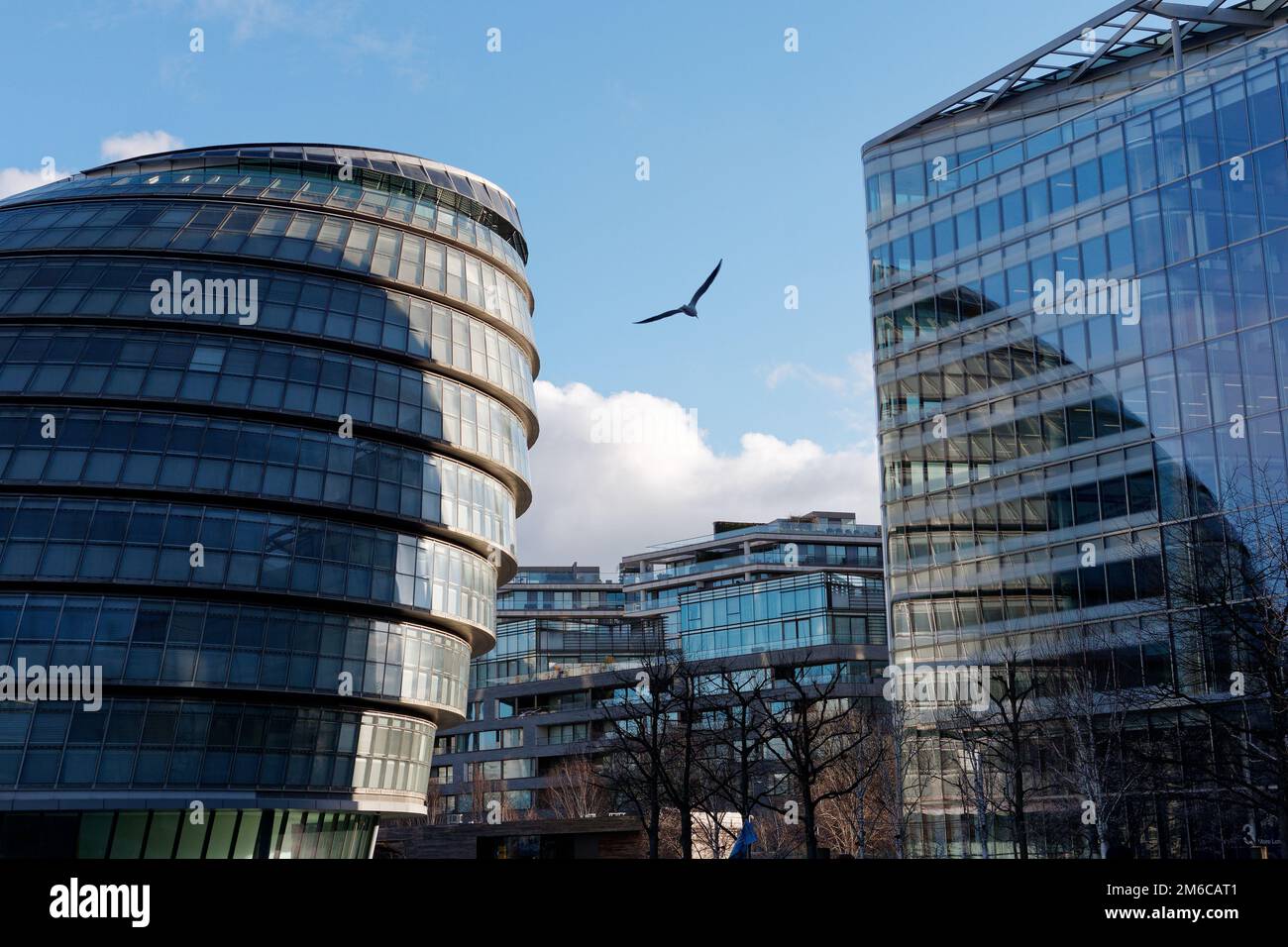A bird flies between City Hall and other modern buildings, London, England Stock Photo