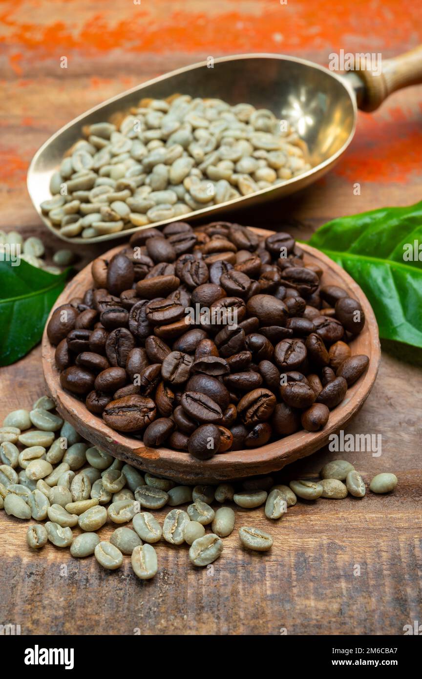 Green and roasted coffee beans from South America coffee producing