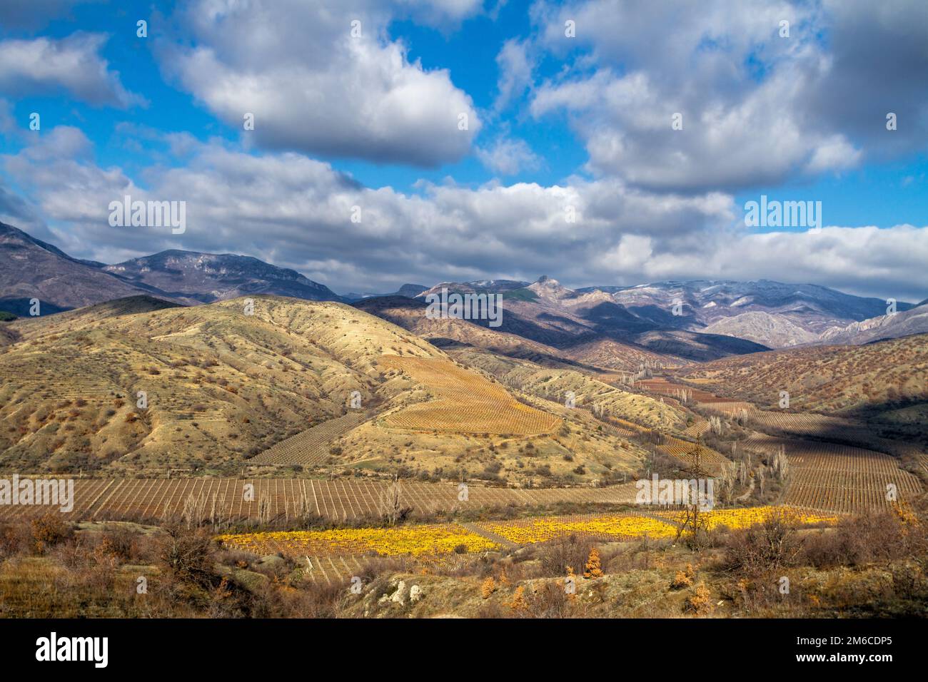 Vineyards. The Autumn Valley Stock Photo