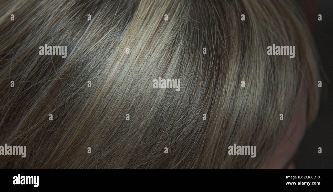 The structure of previously dyed hair hair before coloring Closeup