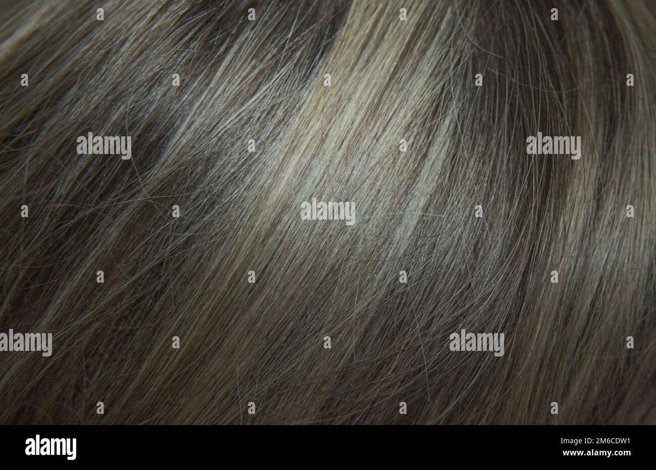 The structure of previously dyed hair hair before coloring Closeup