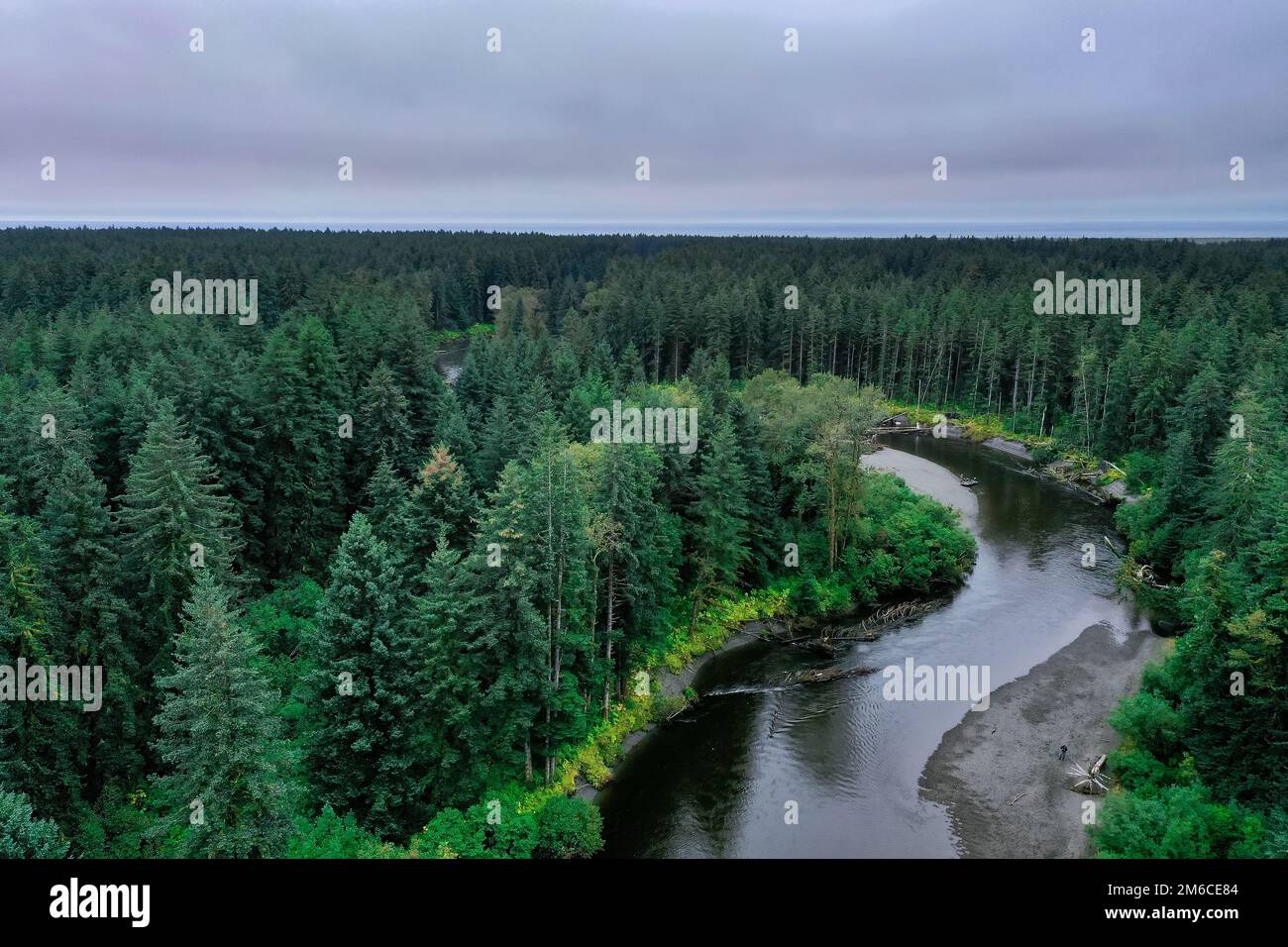 Green forest and river hi-res stock photography and images - Alamy