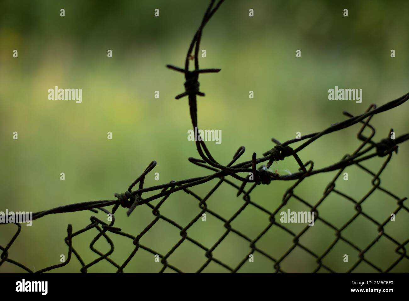 Fence in detail. Fence around house. Barrier for outsiders Stock Photo