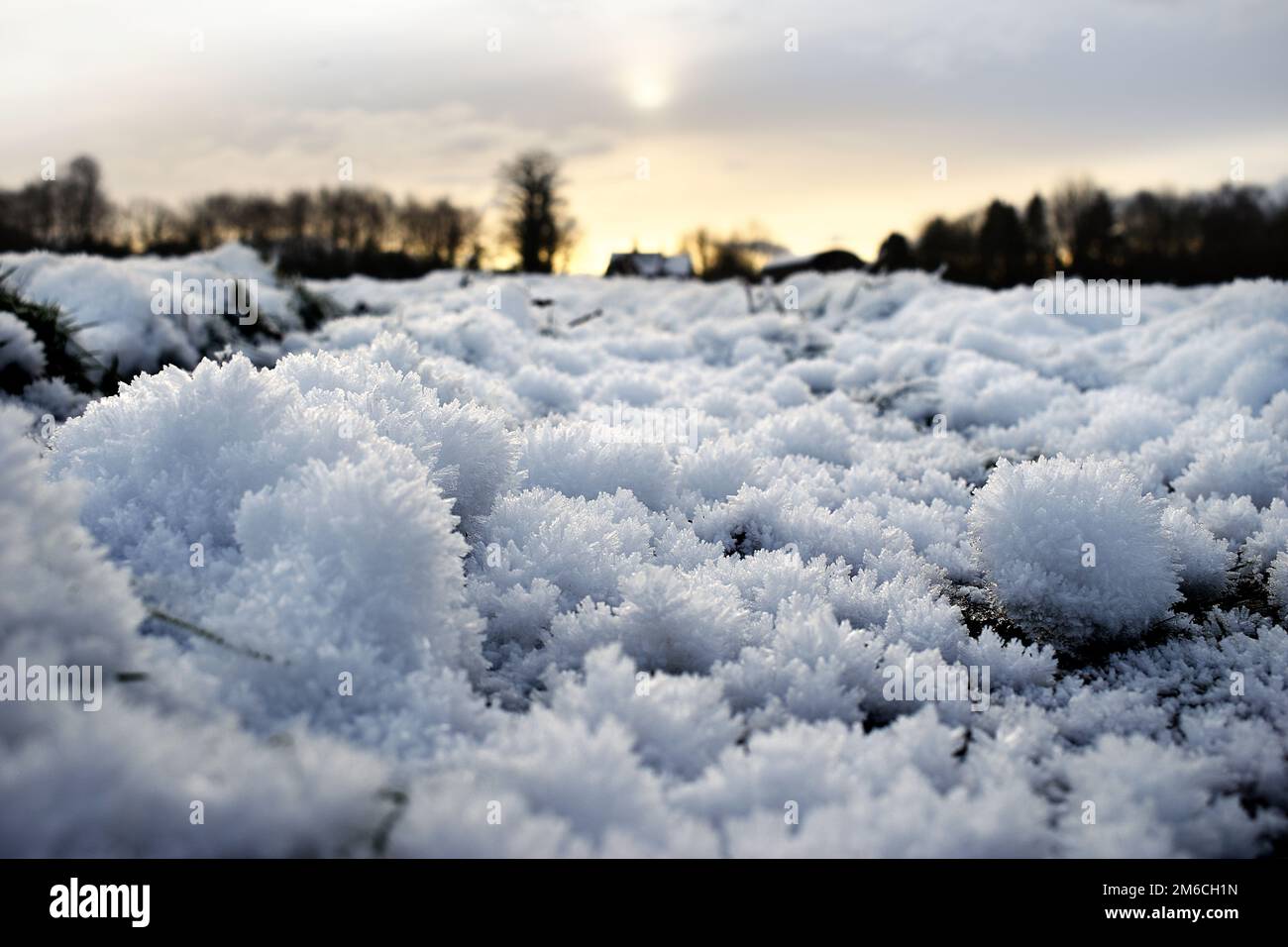 Snow crystals form into balls of protruding shards of ice in a field of grass. The sunrise view leads up to a farmhouse cottage and barn. Stock Photo