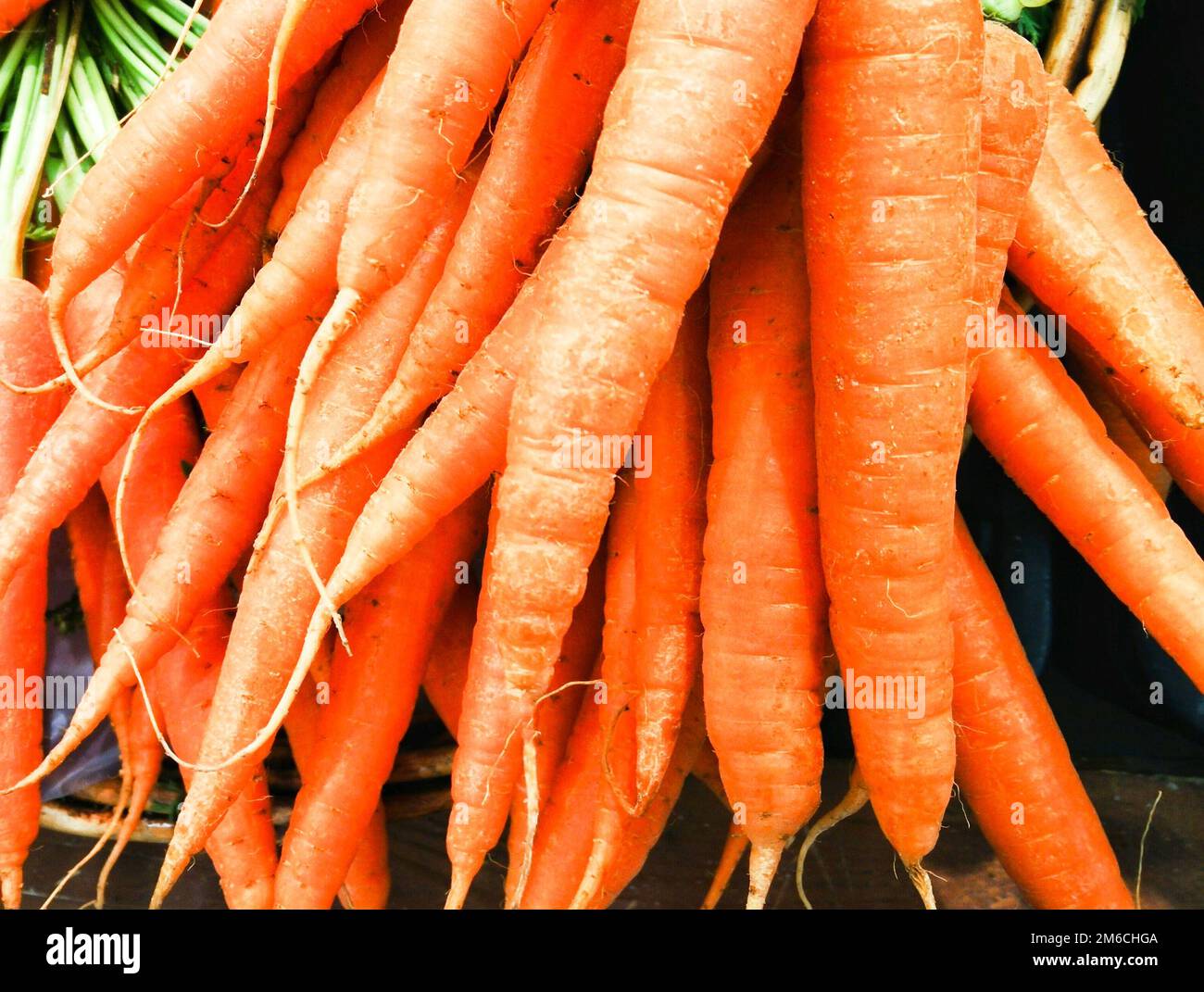 cannedvegetables-hi-res-stock-photography-and-images-alamy