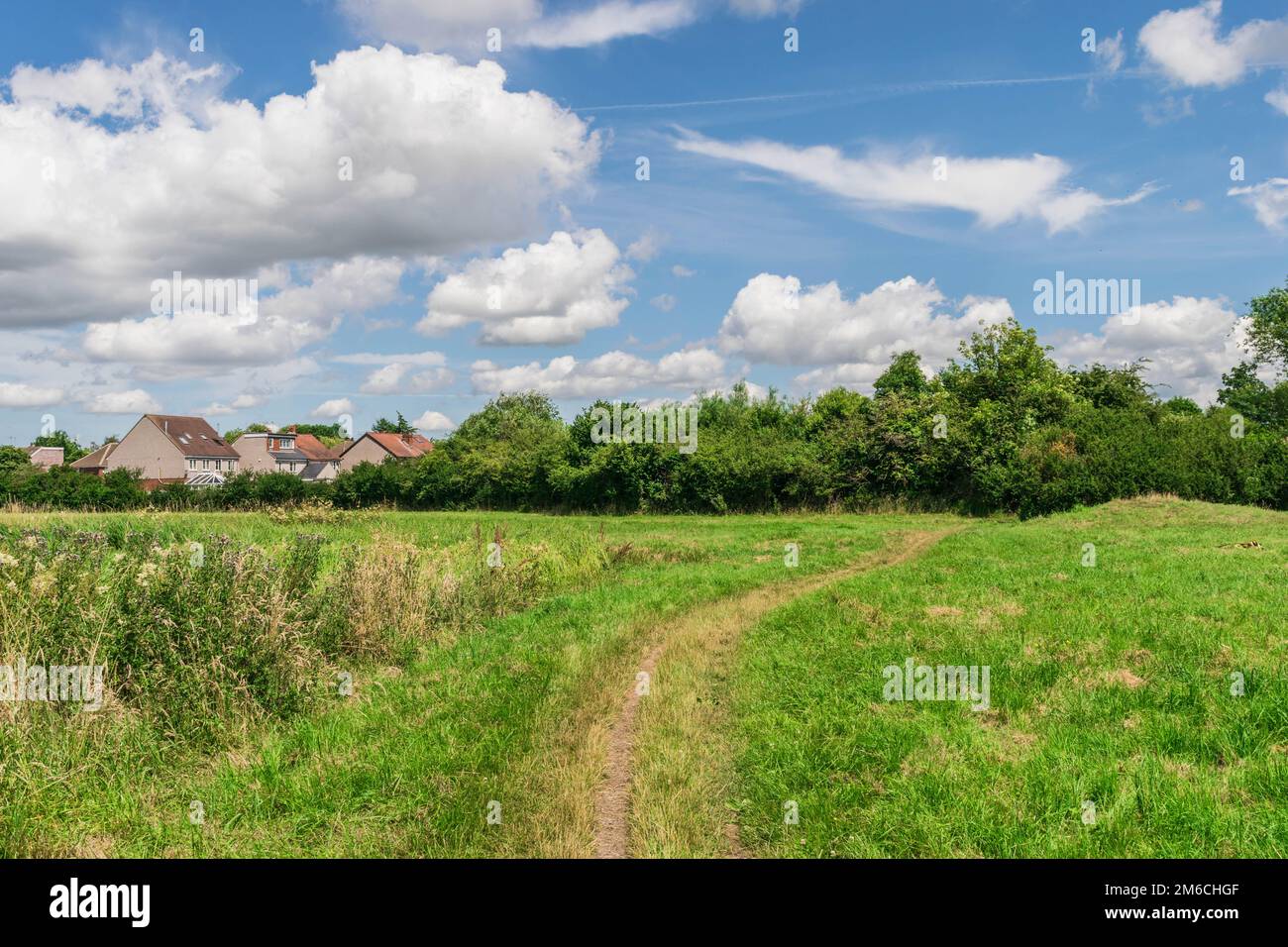 Green Tree Countryside Beautiful tree british countryside hi-res stock photography and images ...