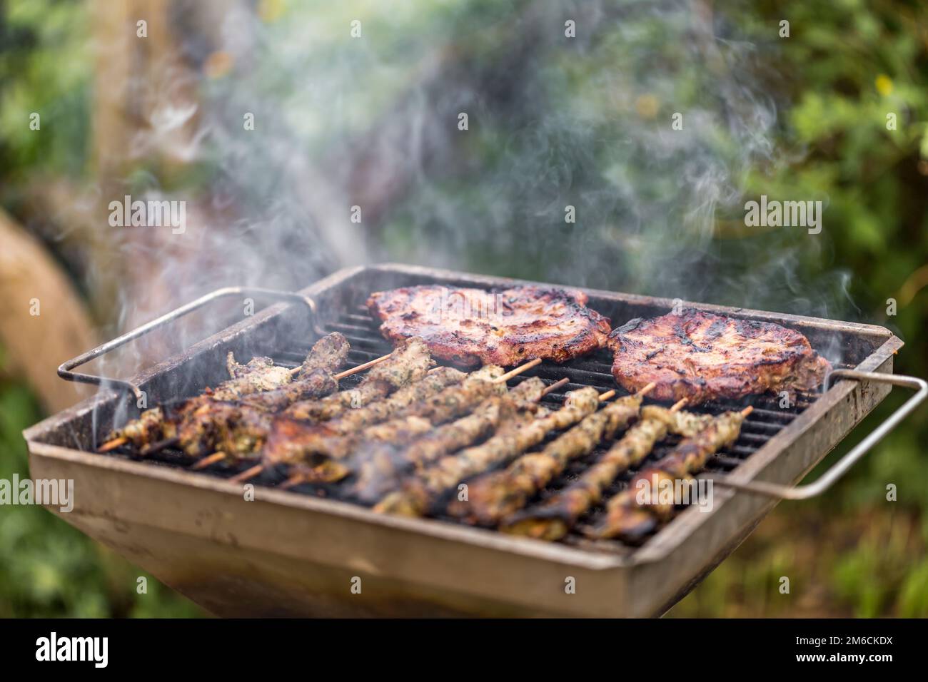Meat on a charcoal grill Stock Photo Alamy