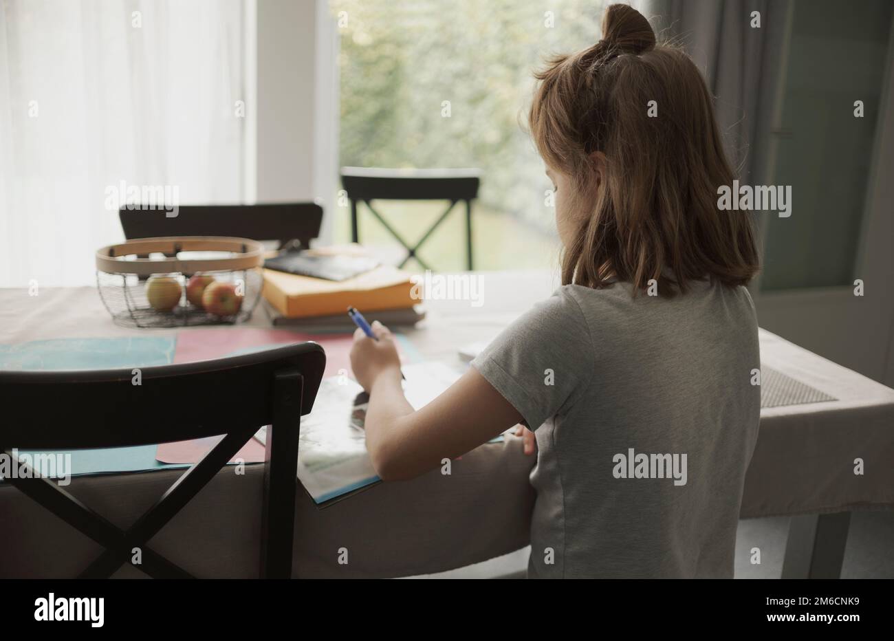Homework. Teenage girl doing homework at home in living room. View from the back Stock Photo