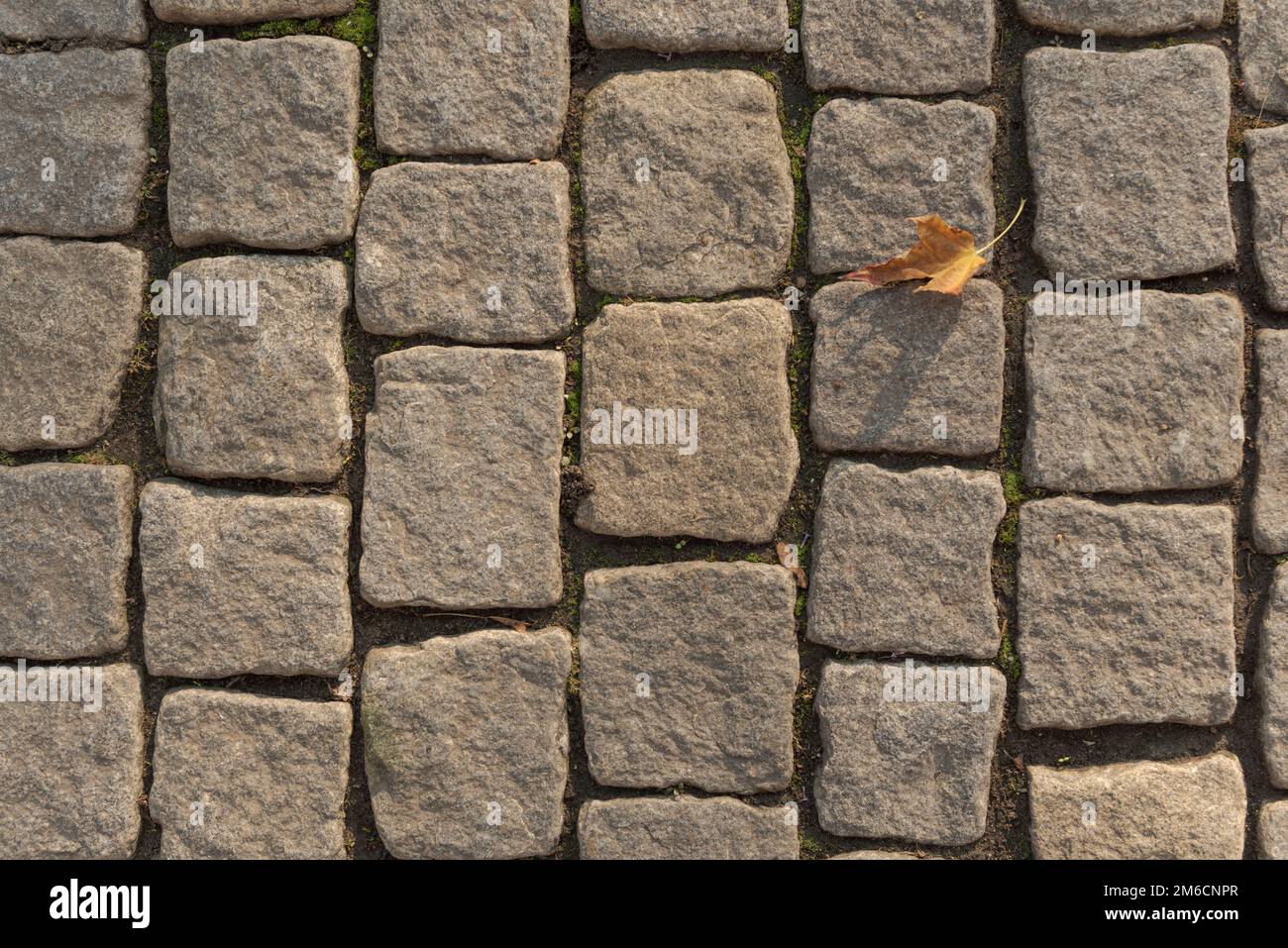 Texture of stone pavement and autumn yellow leaf Stock Photo - Alamy