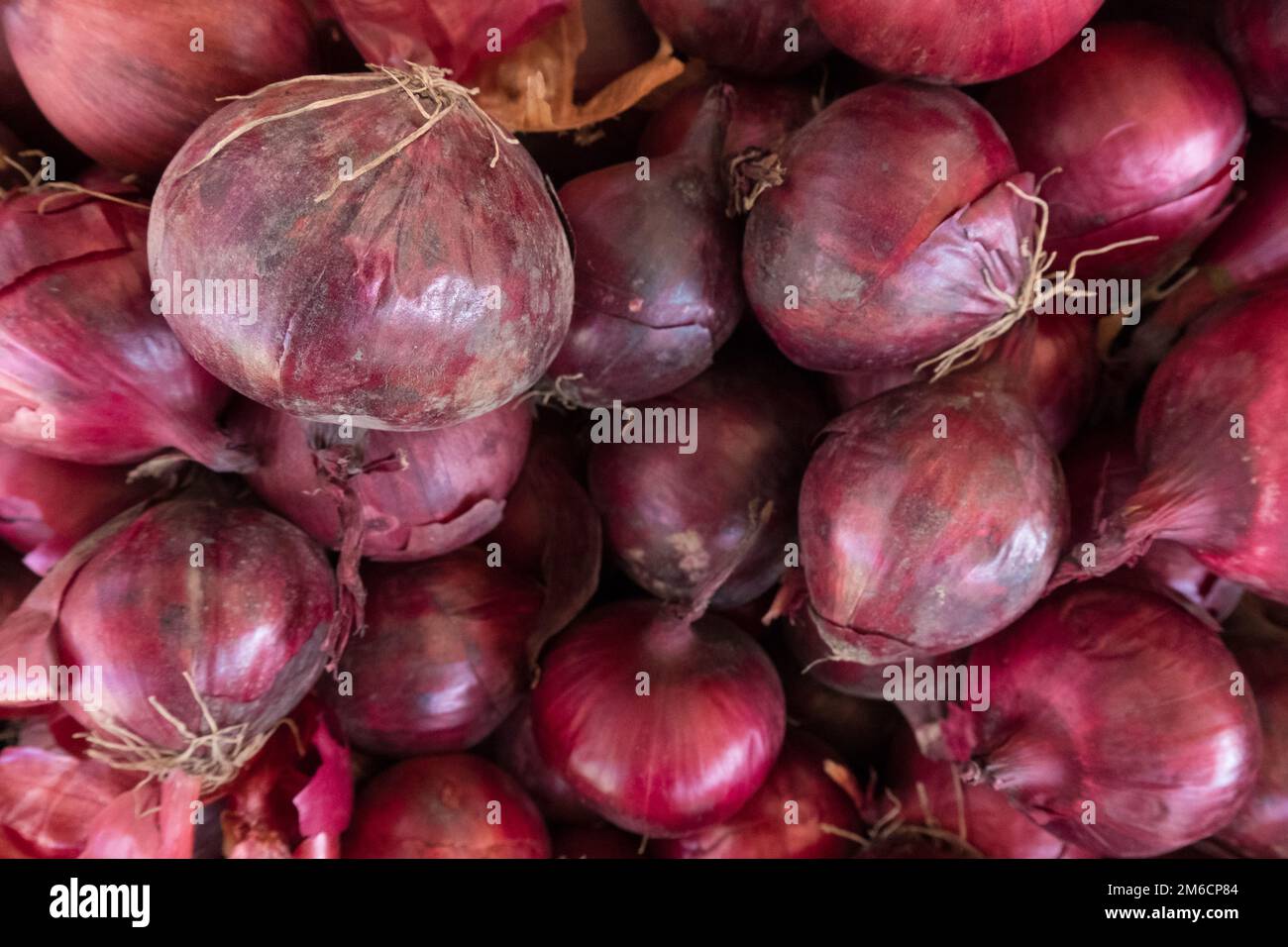 Fresh red onion stand at a street organic food market Stock Photo Alamy
