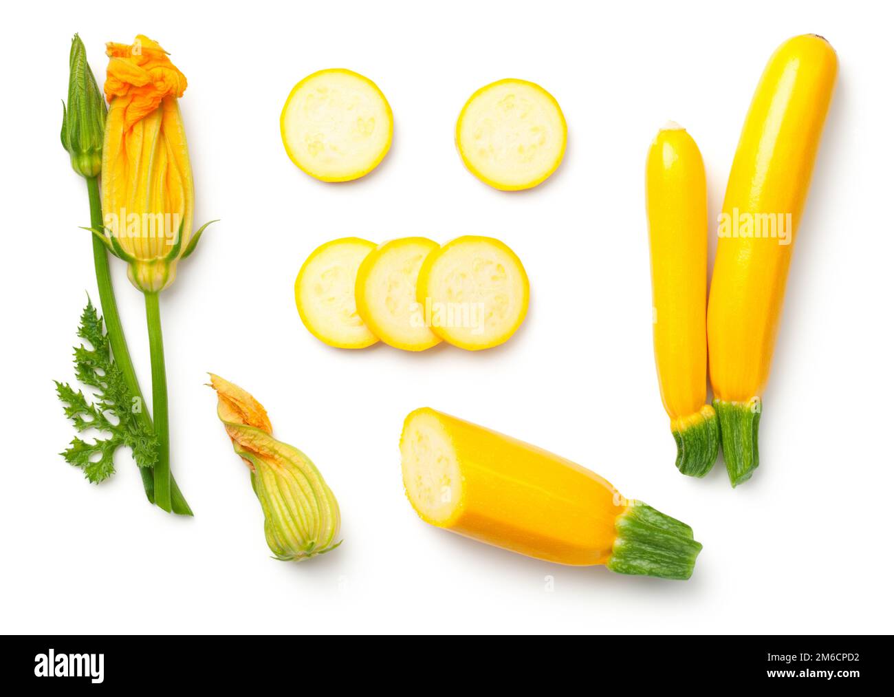 Yellow Zucchini with Leaf and Flower Isolated on White Background Stock Photo Alamy