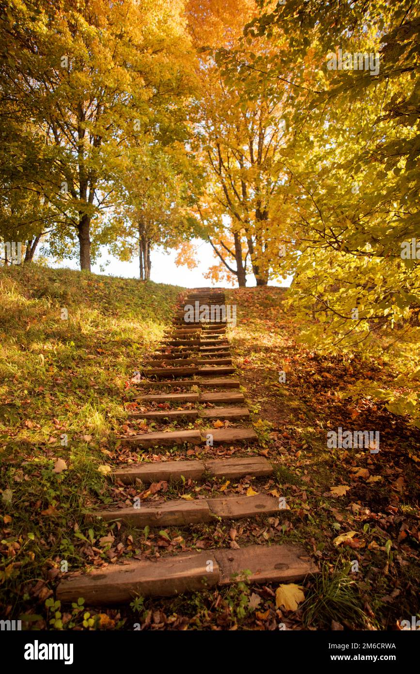 Wooden steps up the hill. Sunny autumn day. Stock Photo