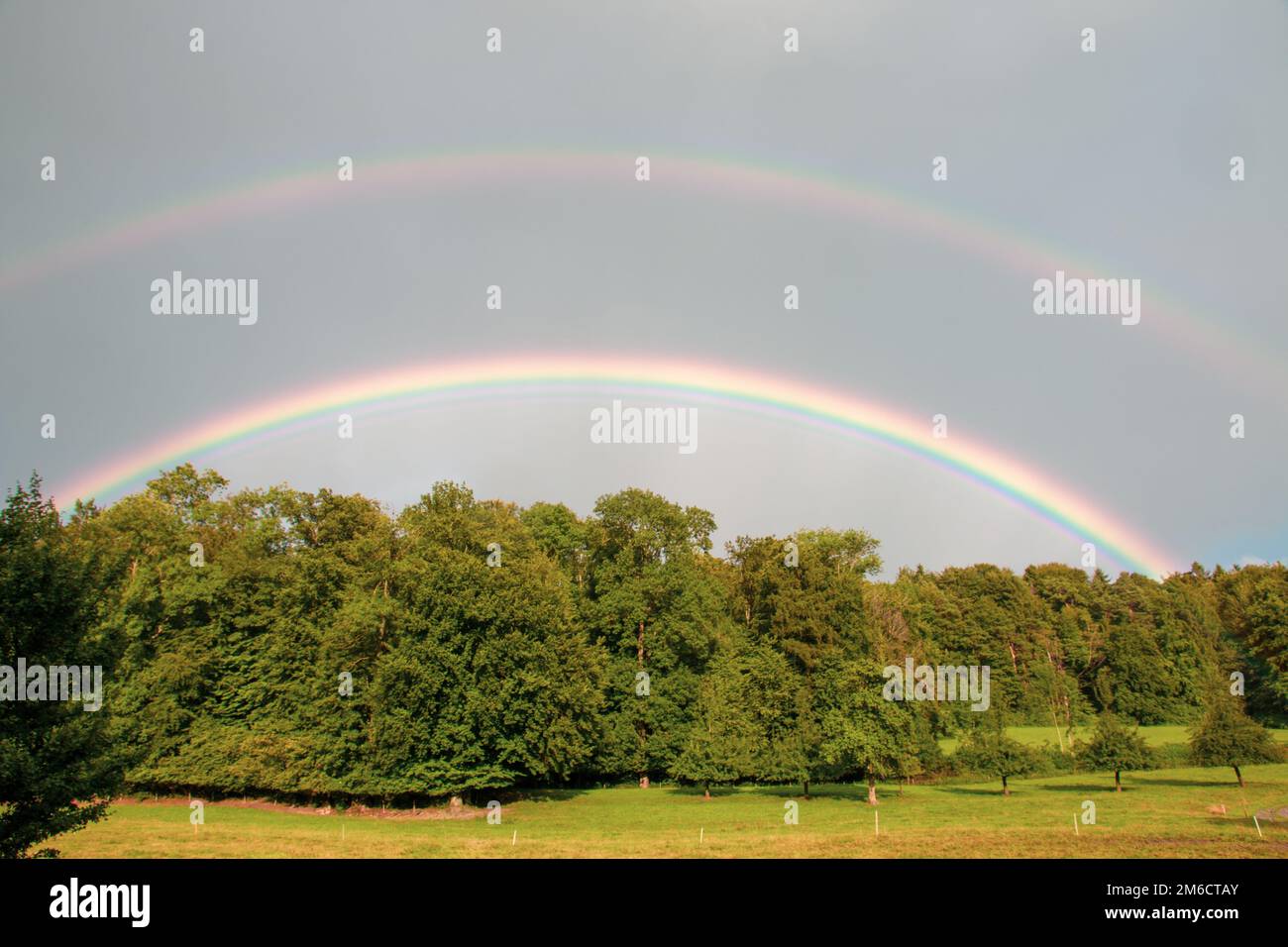 Beautiful double colourful rainbow over the wood Stock Photo