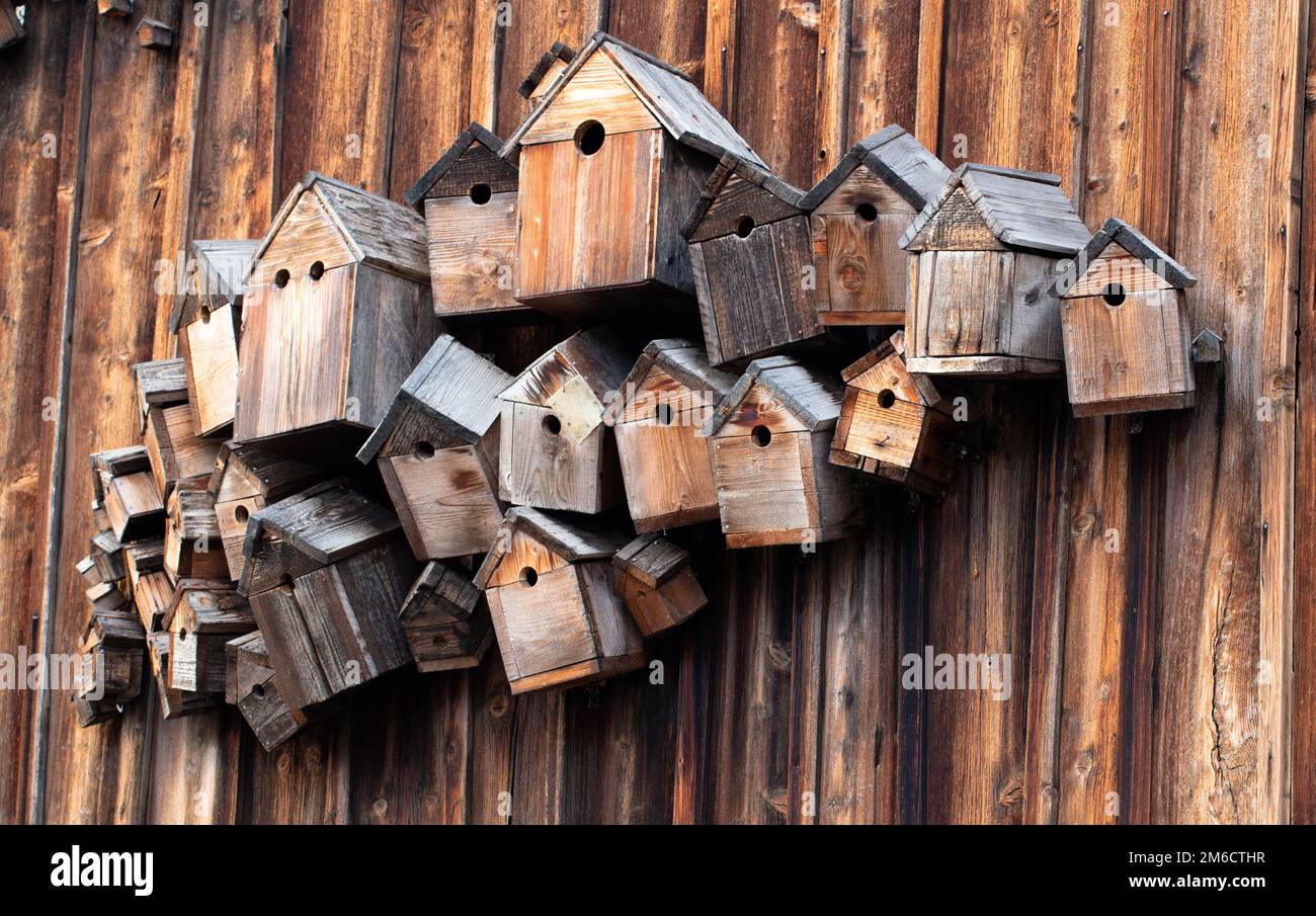 Several wooden bird boxes on a wooden wall Stock Photo