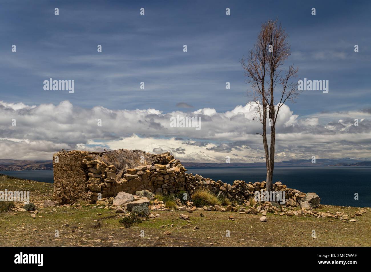 Ruined house and a dead tree. Isla del Sol, Bolivia Stock Photo