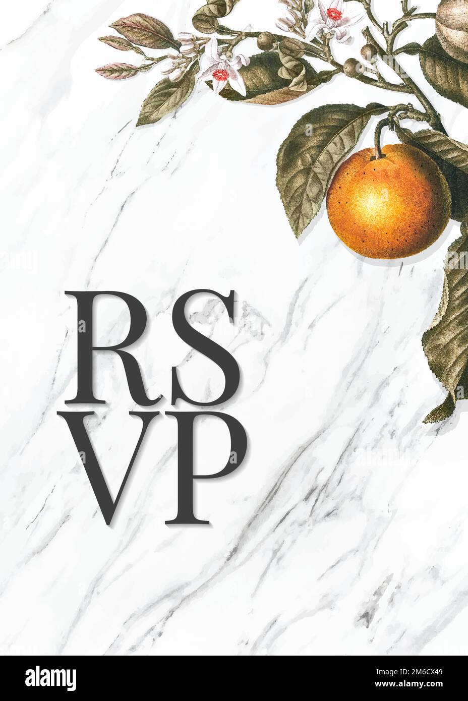 Tropical RSVP on a marble texture vector Stock Vector