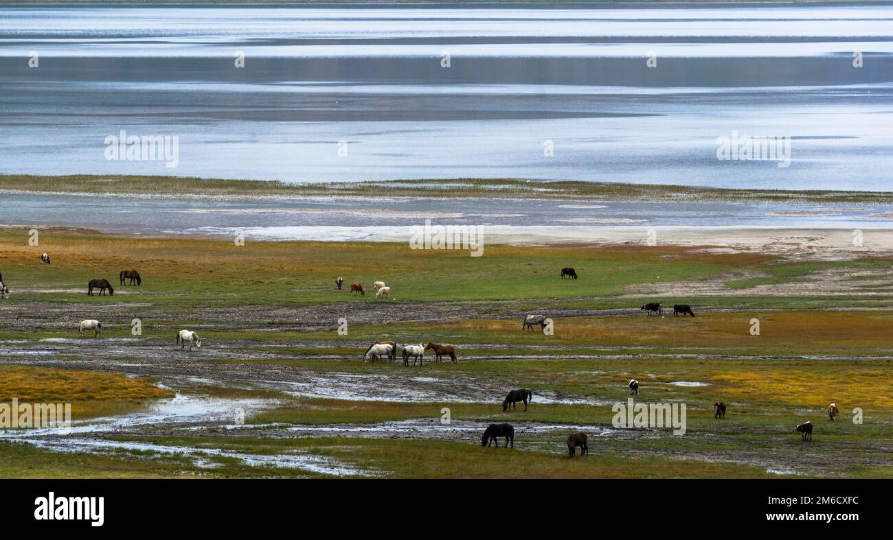 Landscape of adventure hi-res stock photography and images - Alamy