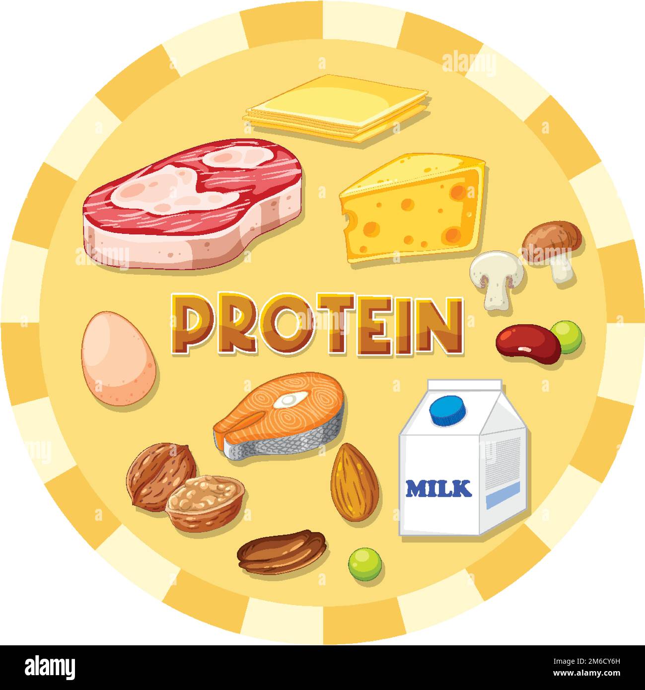 Variety of protein foods with text illustration Stock Vector Image
